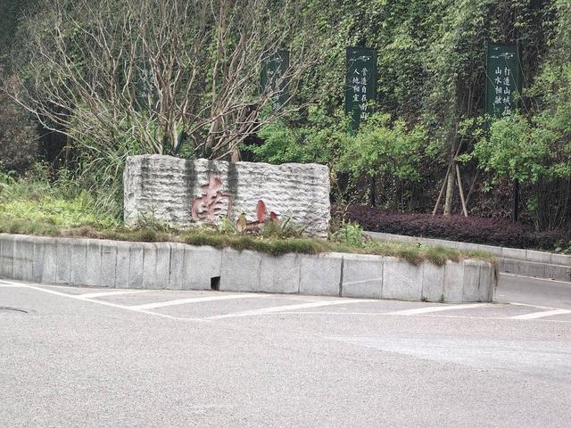 重庆22岁女骑手“小祝”因车祸去世，出租车司机回忆事发现场