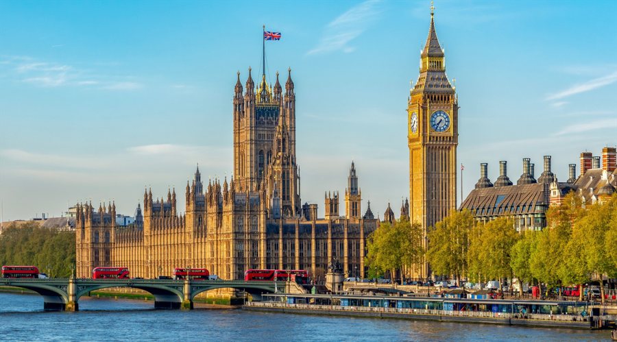 Taurex 在重塑品牌后，2024年年损减少57.9万英镑